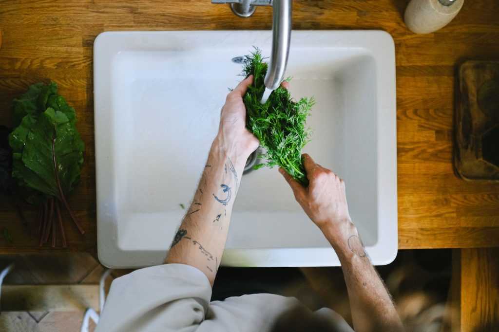 how to store fresh cilantro